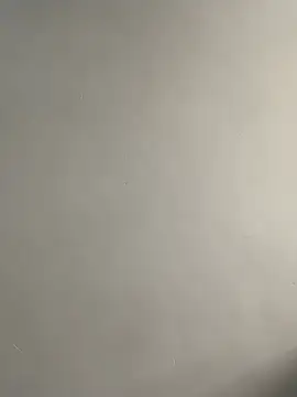 bigass256 online show from 03.29.26