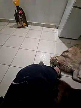 RITAEGIH online show from 03.02.26