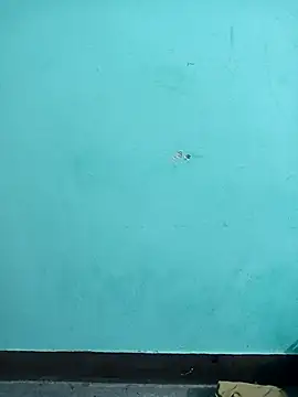 Sexacock01 online show from 02.04.26