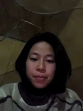 Cat-meow online show from 11.29.25