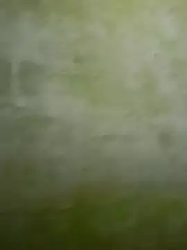 Snapshot of Uplk chatting on 11.17.25 Uplk online show from 11.17.25