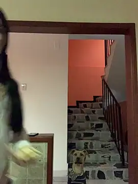 Dannii- online show from 04.11.26