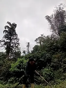 meomeo-00 online show from 03.18.26