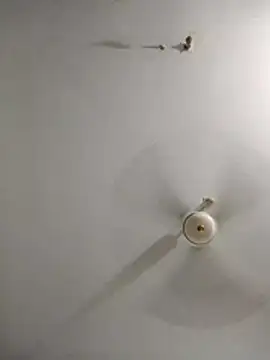 rupamim online show from 03.26.26