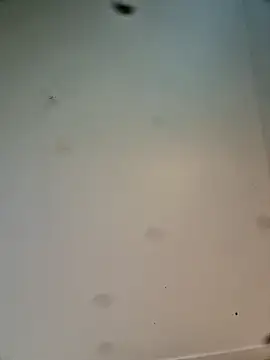 Snapshot of Hardwarelane67 chatting on 03.23.26 Hardwarelane67 online show from 03.23.26