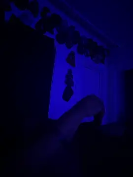 Snapshot of kingping87 chatting on 09.26.25 kingping87 online show from 09.26.25