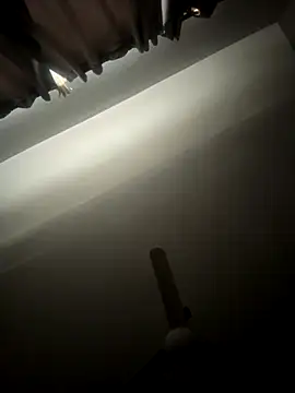 Snapshot of DARG_17 chatting on 12.04.25 DARG 17 online show from 12.04.25