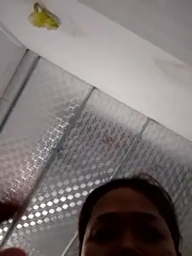 PamPii2x online show from 02.28.26