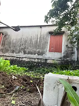 Miumiu95x online show from 01.16.26