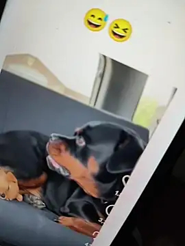 Sainicpl online show from 12.05.25