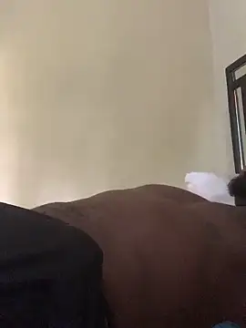 laperson online show from 04.04.26