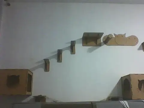 Temp7 online show from 02.21.26