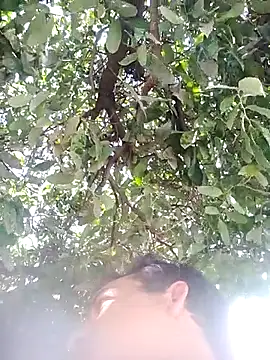 nori dunda online show from 12.17.25