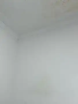  Pamela 1 online show from 12.17.25