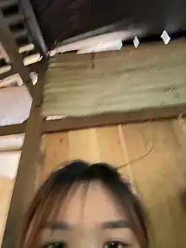 Spring-spring online show from 11.24.25