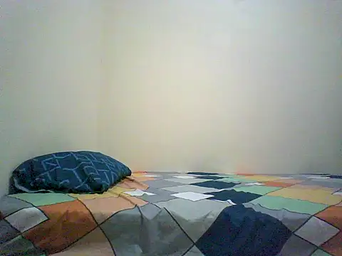 Snapshot of VERTSS2 chatting on 11.28.25 VERTSS2 online show from 11.28.25