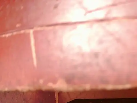 ashleey palmer online show from 11.26.25