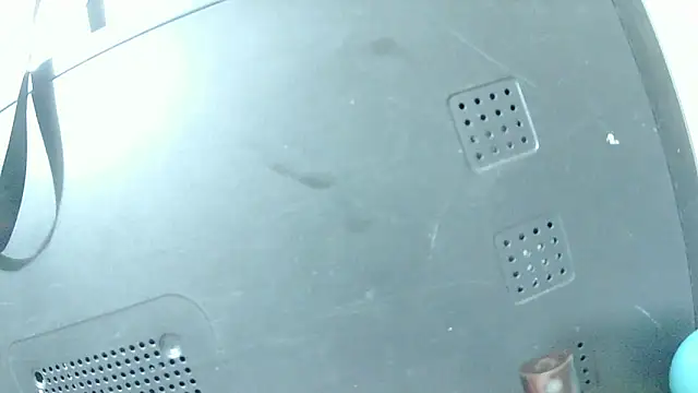 ashleey palmer online show from 02.24.26