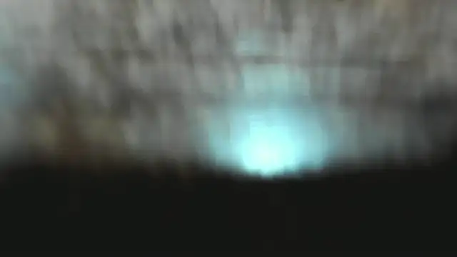 Izelevans online show from 01.15.26