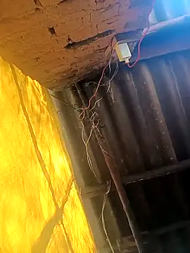 Babita Gori online show from 12.19.25