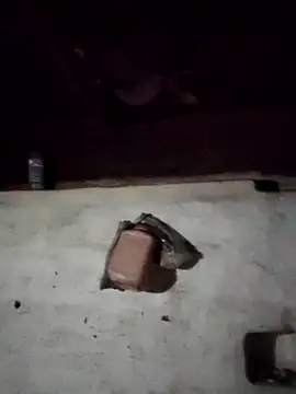 Babita Gori online show from 04.14.26