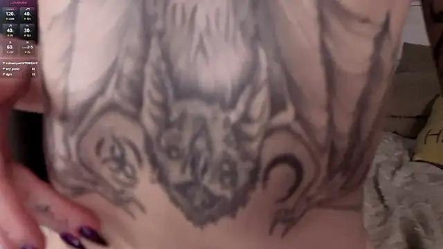 BobbieNibbe online show from 02.03.26