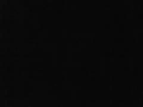 Snapshot of HuggingRegulus chatting on 11.24.25 HuggingRegulus online show from 11.24.25