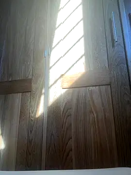 Snapshot of HuggingRegulus chatting on 11.24.25 HuggingRegulus online show from 11.24.25