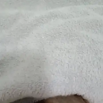 Snapshot of Novinhocomedordeppk chatting on 01.12.26 Novinhocomedordeppk online show from 01.12.26