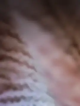 Snapshot of Punam_panjabi chatting on 02.28.26 Punam panjabi online show from 02.28.26