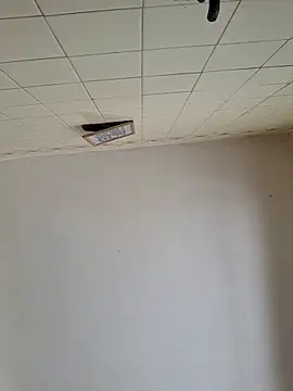 Snapshot of wakahoe chatting on 03.22.26 wakahoe online show from 03.22.26