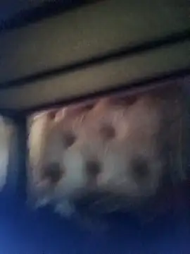 Cuteyuuboy2086 online show from 01.13.26