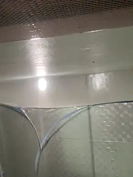 muti99 online show from 02.08.26