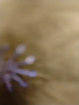 Snapshot of RASHMI_SHARMA9 chatting on 02.16.26 RASHMI SHARMA9 online show from 02.16.26