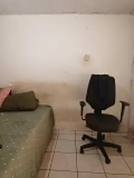 theyllorwillian online show from 02.20.26