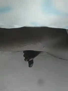 Snapshot of hunter379 chatting on 12.03.25 hunter379 online show from 12.03.25