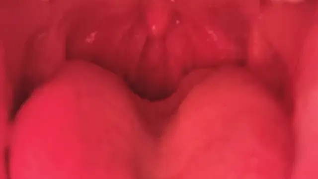 Snapshot of LT-333 chatting on 01.11.26 LT-333 online show from 01.11.26