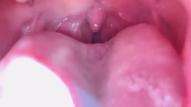 LT-333 online show from 01.17.26