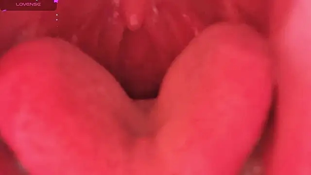 LT-333 online show from 02.06.26