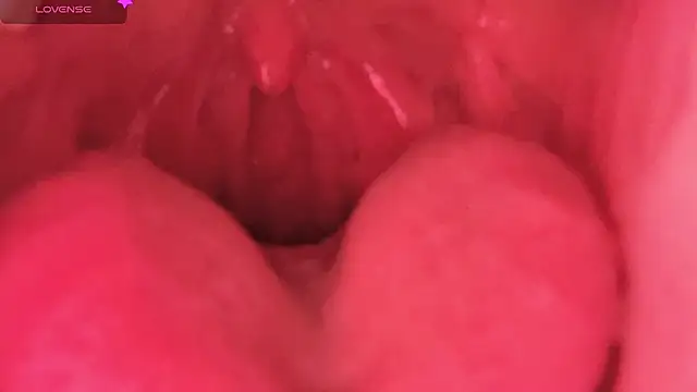 LT-333 online show from 02.07.26