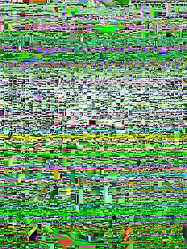 alexzzzzzppp online show from 11.27.25