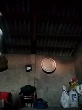 Snapshot of LeoPet2x chatting on 12.15.25 LeoPet2x online show from 12.15.25