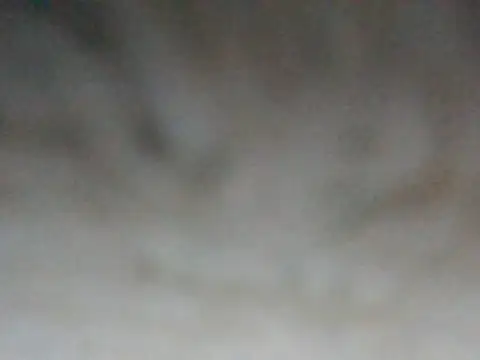 Snapshot of ilove90123 chatting on 03.16.26 ilove90123 online show from 03.16.26