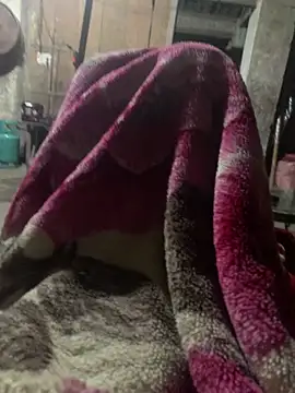 anh-soi123 online show from 03.11.26