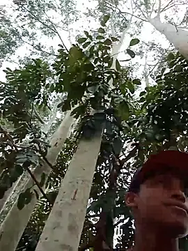 Snapshot of Negok1ng17cm chatting on 12.02.25 Negok1ng17cm online show from 12.02.25