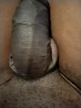 Piazza21 online show from 01.16.26