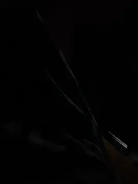 Snapshot of hot8veera chatting on 12.02.25 hot8veera online show from 12.02.25