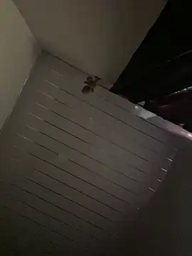 Carameloswing1 online show from 03.19.26