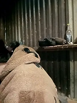 sary-hot2x online show from 01.07.26