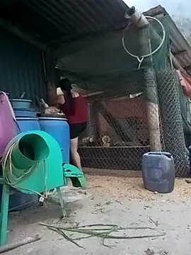 sary-hot2x online show from 04.15.26